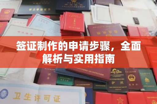 柏乡签证制作的申请步骤，全面解析与实用指南